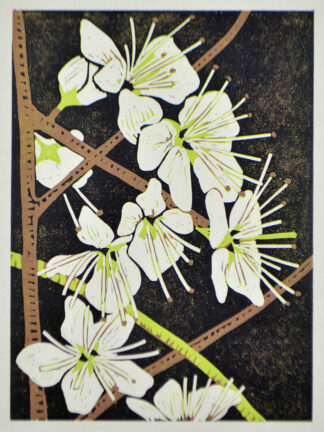lino print of blackthorn blossom by Melissa Birch